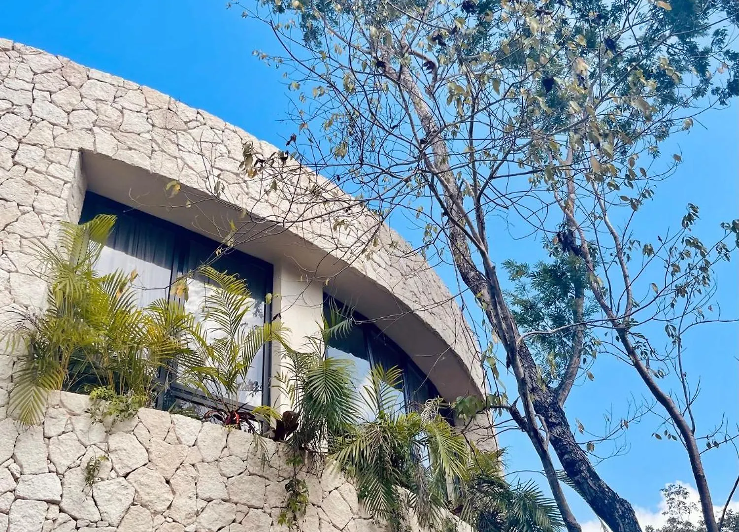 Round Luxury Villa Private Pool & Jungle Rooftop 2B تولوم